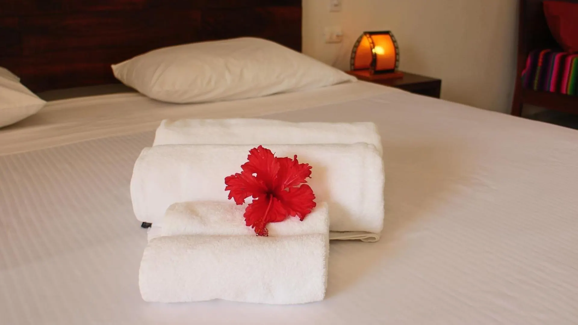 Hotel Basic Tulum