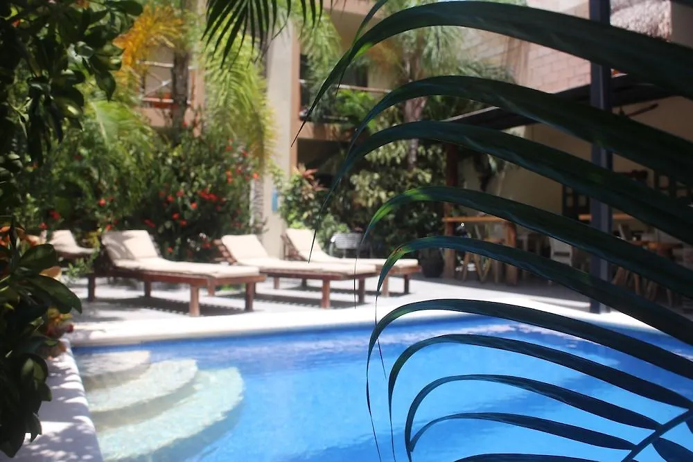 Basic Tulum Hotel