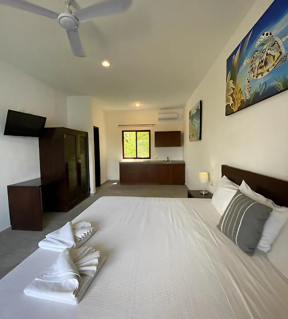 Basic Tulum Hotel