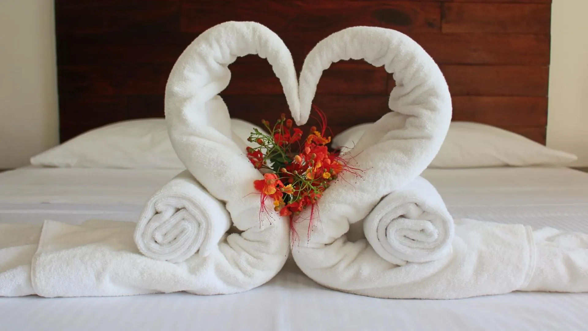 Basic Tulum Hotel