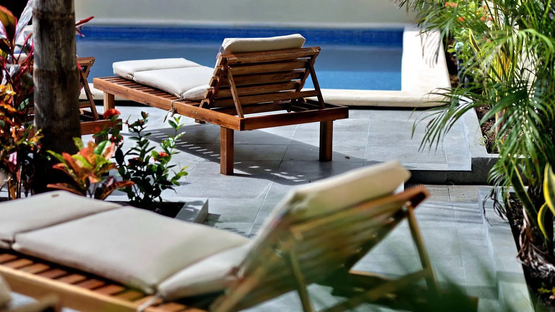 ***  Basic Tulum Hotel Mexico